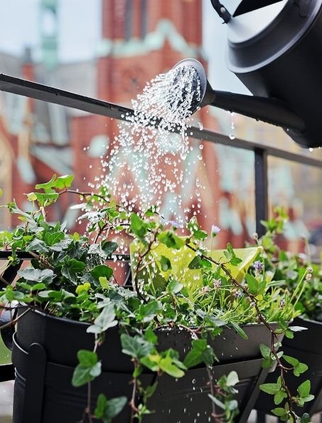 container garden