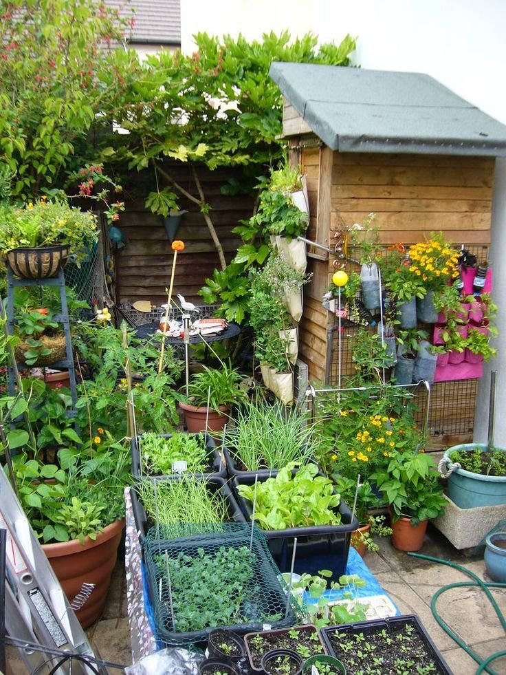 container garden