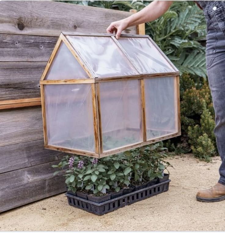 cold frames for fall gardens