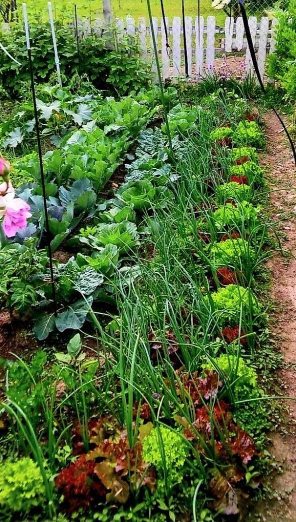 companion planting for fall